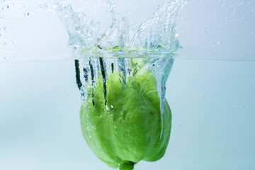 Fresh guava fruit in water splash background