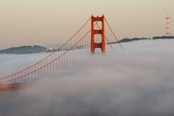 Golden gate