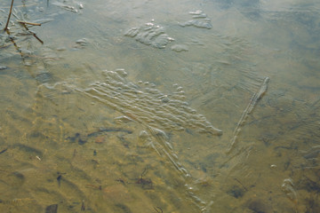 City Riga, Latvia Republic. Frozen lake, ice and air bubbles. Travel photo.