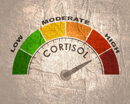 Hormone cortisol level measuring scale. Health care concept illustration.