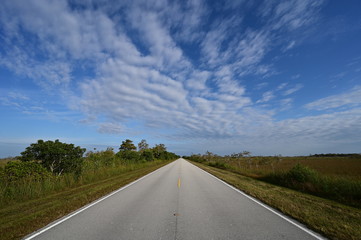 Wide angle view of Main Road in Everglades National Park, Florida receding into distance under beautiful winter cloudscape.