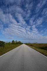 Naklejka premium Wide angle view of Main Road in Everglades National Park, Florida receding into distance under beautiful winter cloudscape.