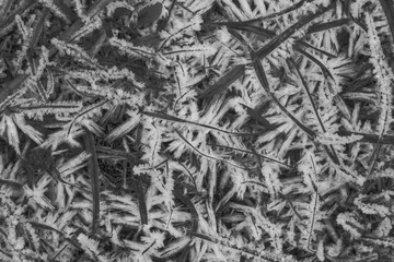 black and white winter frost ice abstract background , dark frozen cold texture ,crystallized water on a ground grass ,beautiful crystal wallpaper close up