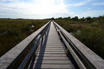 Pa Hay Okee Boardwalk in Everglades National Park, Florida on a sunny winter morning.