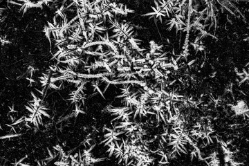black and white winter frost ice abstract background , dark frozen cold texture ,crystallized water on a ground grass ,beautiful crystal wallpaper close up