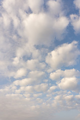 Fototapeta premium 青空と雲