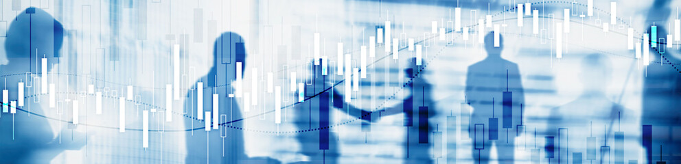 Financial Stock Market Graph. Website Economic Banner.