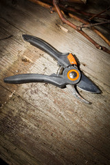 Garden secateurs and pruned branches