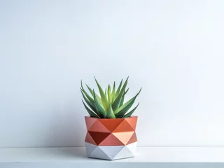 Foto op Aluminium Cactus pot. Concrete pot. Modern geometric concrete planter. © tete_escape