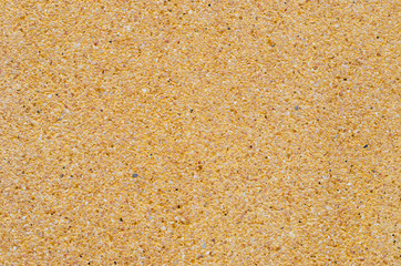 Texture of Yellow Sand Wall.