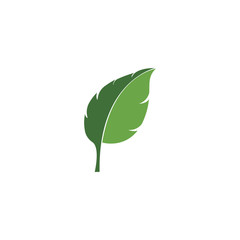green leaf ecology nature element