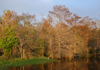 Fototapeta na wymiar Sunset On Pond at Bird Rookery Swamp Trailhead