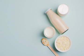 Fototapeta na wymiar Milk mushroom organic probiotic fermented milk products glass bowl. Fermented foods healthy eating concept. Copy space.