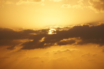 太陽
