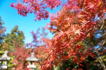 鍬山神社 / Kuwayama Temple