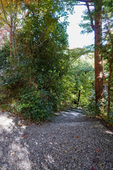 Fototapeta premium 鍬山神社 / Kuwayama Temple