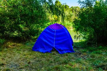 Blue tent in a forest on summer