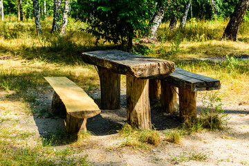 Picnic place in a park on summer