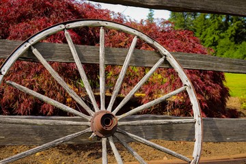 Wagon wheel
