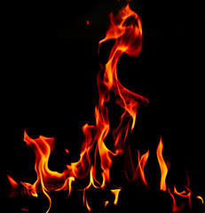 Fototapeta premium Flame of fire on a black background