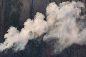 Smoke from the chimney of a house at dawn of the sun