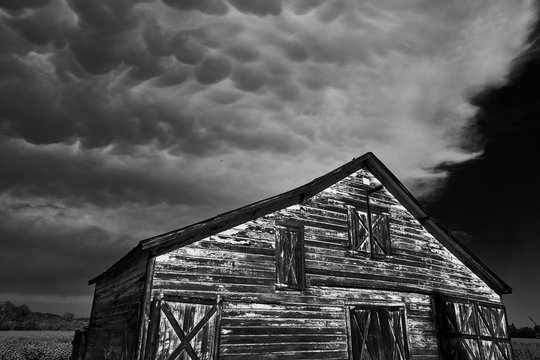 Thick mammatus storm clouds above a beautiful wooden country barn near Healdsburg, Sonoma County, California.