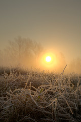Frost on the meadow during sunrise