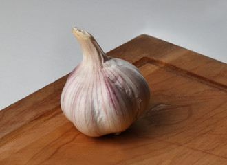 Garlic