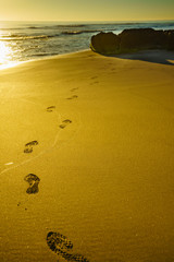 Sunset and footprints on beach