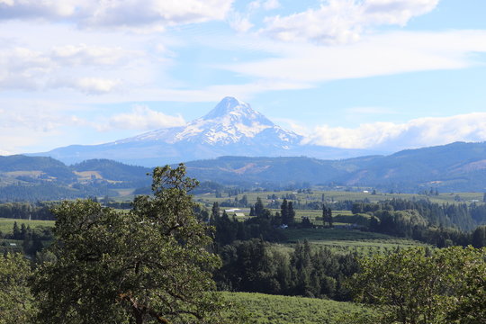 mt hood