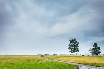 Fototapeta na wymiar Foggy summer landscape in Norway