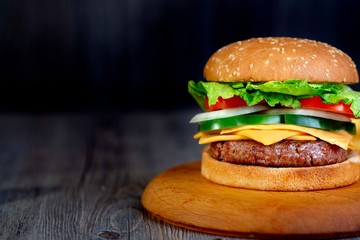 hamburger with french fries and cheddar cheese