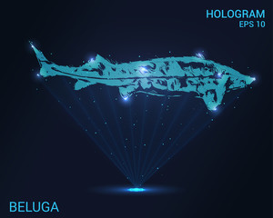 Hologram sturgeon . Holographic projection of Beluga. Flickering energy flux of particles. Scientific design animals.