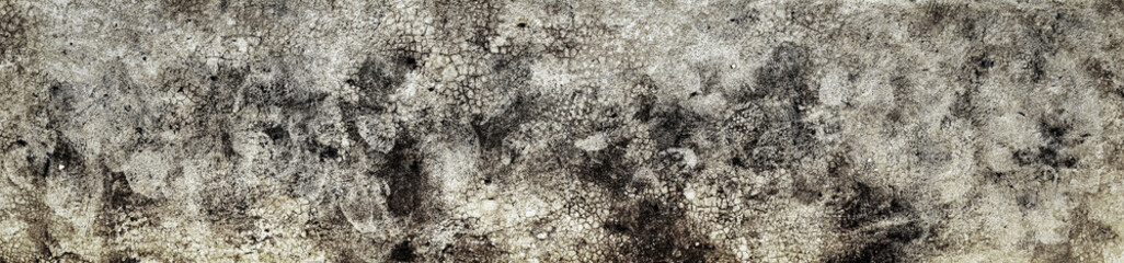 Old Wall with Moldy Peeling White Painting from Humidity. Cracked White Wall as Rusty Concrete Weathered Wall Grunge Background or Abstract Backdrop Wallpaper Vintage Texture Design Copy Space Text
