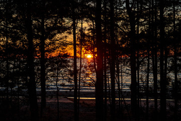 Fototapeta na wymiar Baltic sea, beach, cloud, clouds, evening, sunset, sun behind trees, evening