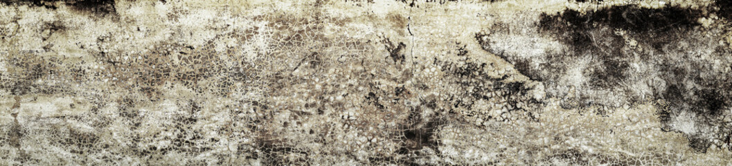 Old Wall with Moldy Peeling White Painting from Humidity. Cracked White Wall as Rusty Concrete Weathered Wall Grunge Background or Abstract Backdrop Wallpaper Vintage Texture Design Copy Space Text