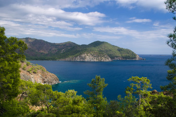 Fototapeta na wymiar Mountain vegetation on the Mediterranean coast