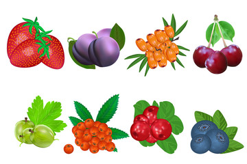 Berry icon set isolated on white background. Strawberries, plum, buckthorn, cherry, gooseberry, rowan, lingonberry, blueberry. Sweet fruit. Packaging logo design. Realistic stock vector illustration