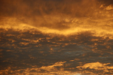 Dawn in an urban environment