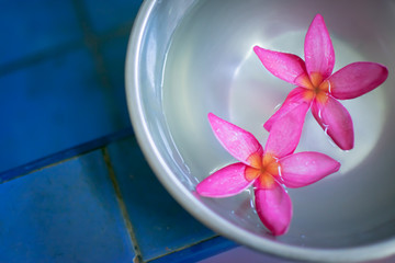 Pink Frangipani flowers in an aluminum bowl  at spa