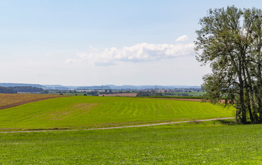 rural landscape