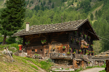 Fototapeta na wymiar An old wooden farmer house on a sunny day in summer