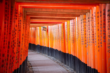 Red Torii gates in Fushimi Inari shrine in Kyoto, Japan 2019 Autumn colors