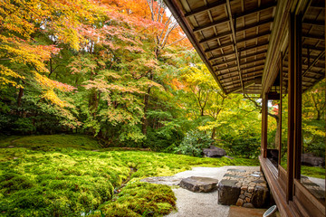 Autumn Japanese garden of Rurikoin temple (Ruriko-in), Kyoto, Japan.