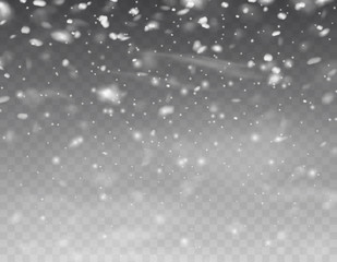 Snow flakes falling isolated on transparent background. Vector christmas snowfall overlay texture, white snowflakes flying in winter air.