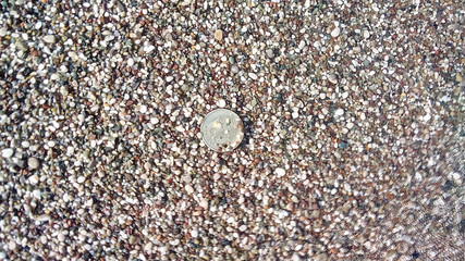Coin thrown into the sea - a symbol of return again
