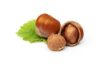 Hazelnut nut many leaves isolated on a white background as a packaging design element