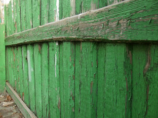 Green wooden boards fence.