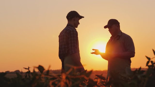 Senior farmer shakes hands with a young colleague. Smile, positive emotions