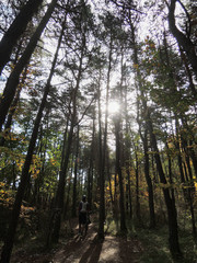 A person walking through the beech of the Lac de Monteynard-Avignonet. France